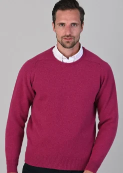 Leven 2 Ply Lambswool Crew Neck Plus Size - Vegas