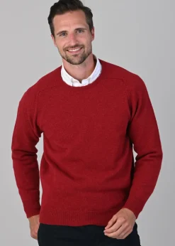 Leven 2 Ply Lambswool Crew Neck Plus Size - Poppy Mel