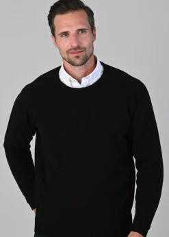 Leven 2 Ply Lambswool Crew Neck Plus Size - Navy