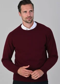 Leven 2 Ply Lambswool Crew Neck - Bordeaux