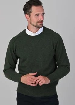 Leven 2 Ply Lambswool Crew Neck Plus Size - Rosemary