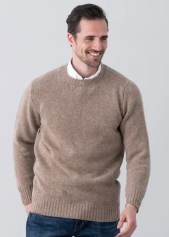 Longford Crew Neck - Colt