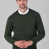 Rob 2 Ply Lambswool Crew Neck - Rosemary