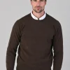 Rob 2 Ply Lambswool Crew Neck - Mocha