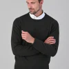 Rob 2 Ply Lambswool Crew Neck - Seaweed
