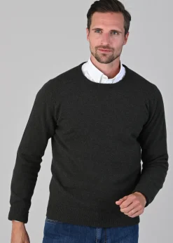 Rob 2 Ply Lambswool Crew Neck - Seaweed